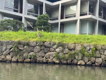 松江城に投稿された画像（2025/10/19）