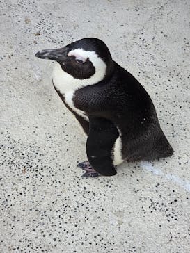 横浜・八景島シーパラダイスに投稿された画像（2025/10/19）