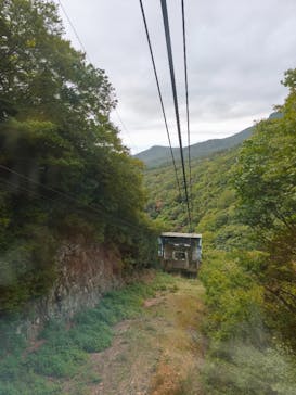 寒霞渓ロープウェイに投稿された画像（2025/10/19）