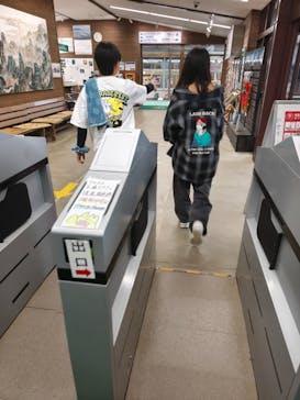 寒霞渓ロープウェイに投稿された画像（2025/10/19）