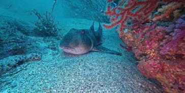 thewinddropsに投稿された画像（2025/10/19）