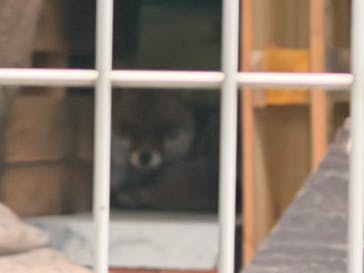 天王寺動物園に投稿された画像（2025/10/19）