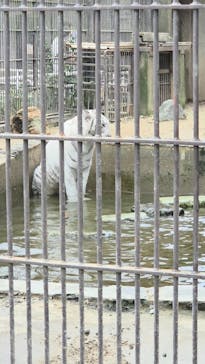 宇都宮動物園に投稿された画像（2025/10/19）