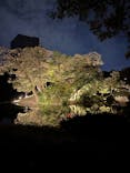 夜間特別開園 秋の夜長の小石川後楽園2025に投稿された画像（2025/10/19）