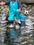 箱根園水族館に投稿された画像（2025/10/19）
