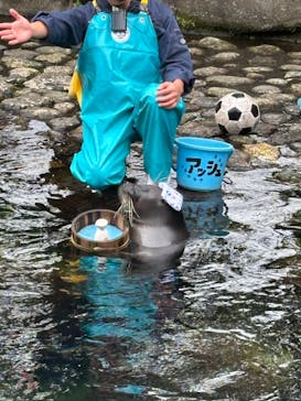 箱根園水族館に投稿された画像（2025/10/19）