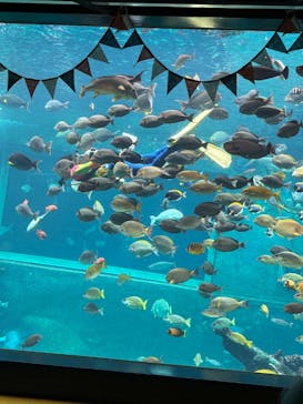 箱根園水族館に投稿された画像（2025/10/19）