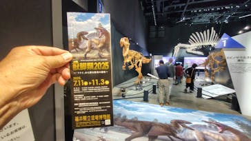 福井県立恐竜博物館に投稿された画像（2025/10/19）
