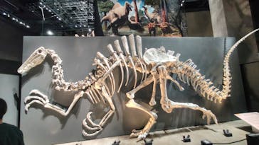 福井県立恐竜博物館に投稿された画像（2025/10/19）