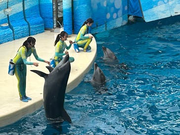 新江ノ島水族館に投稿された画像（2025/10/19）