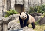 恩賜上野動物園に投稿された画像（2025/10/19）