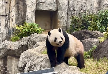 恩賜上野動物園に投稿された画像（2025/10/19）