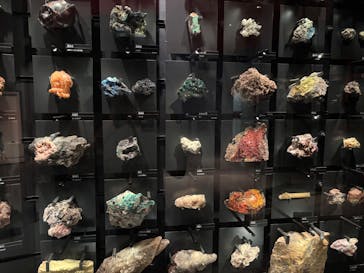 国立科学博物館に投稿された画像（2025/10/19）