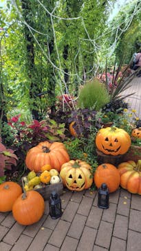 横浜イングリッシュガーデンに投稿された画像（2025/10/19）