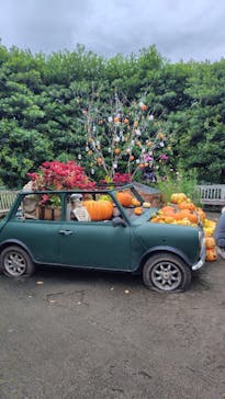 横浜イングリッシュガーデンに投稿された画像（2025/10/19）