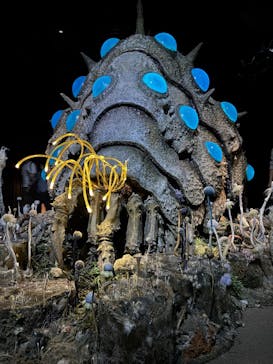 金曜ロードショーとジブリ展（静岡展）に投稿された画像（2025/10/19）