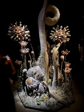 金曜ロードショーとジブリ展（静岡展）に投稿された画像（2025/10/19）