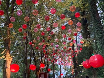 ムーミンバレーパークに投稿された画像（2025/10/19）