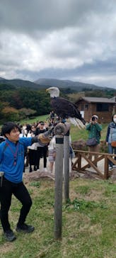 那須どうぶつ王国に投稿された画像（2025/10/19）