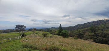 那須どうぶつ王国に投稿された画像（2025/10/19）