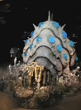 金曜ロードショーとジブリ展（静岡展）に投稿された画像（2025/10/19）