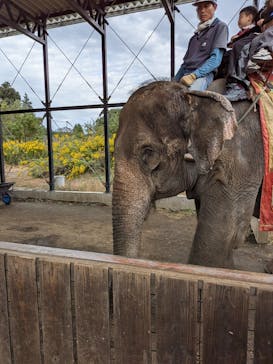 那須ワールドモンキーパークに投稿された画像（2025/10/19）