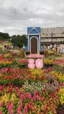 ムーミンバレーパークに投稿された画像（2025/10/19）