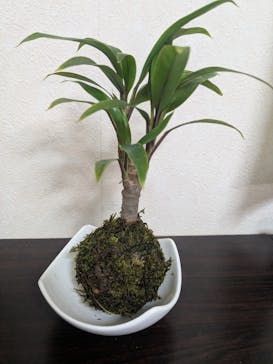 奈良斑鳩ツーリズムWaikaru（ワイカル）に投稿された画像（2025/10/19）