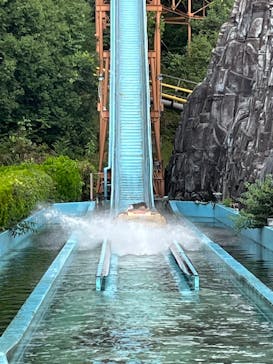 日本モンキーパークに投稿された画像（2025/10/19）