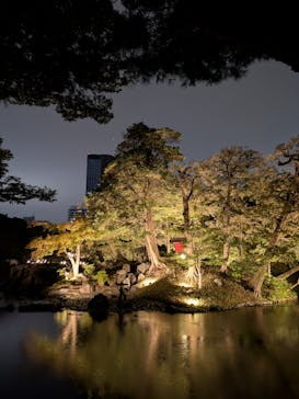 夜間特別開園 秋の夜長の小石川後楽園2025に投稿された画像（2025/10/19）