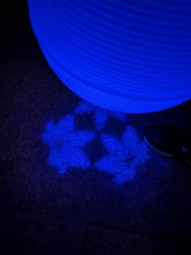 NAKED夜さんぽ™ 石川・那谷寺に投稿された画像（2025/10/19）