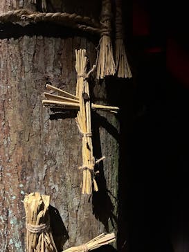 ホラーにふれる展に投稿された画像（2025/10/19）