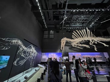 福井県立恐竜博物館に投稿された画像（2025/10/19）