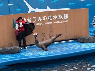 仙台うみの杜水族館に投稿された画像（2025/10/19）