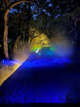 NAKED夜さんぽ™ 石川・那谷寺に投稿された画像（2025/10/19）