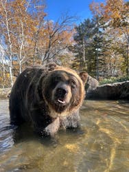 サホロリゾート　ベア･マウンテンに投稿された画像（2025/10/19）