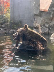 サホロリゾート　ベア･マウンテンに投稿された画像（2025/10/19）