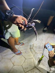 オースリーシュノーケル宮古島に投稿された画像（2025/10/19）