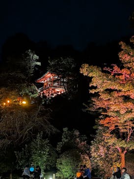 NAKED夜さんぽ™ 石川・那谷寺に投稿された画像（2025/10/19）