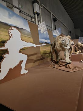 特別展「氷河期展 〜人類が見た4万年前の世界〜」（国立科学博物館）に投稿された画像（2025/10/19）