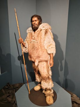 特別展「氷河期展 〜人類が見た4万年前の世界〜」（国立科学博物館）に投稿された画像（2025/10/19）