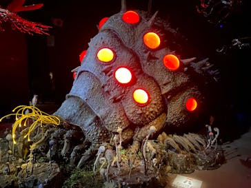 金曜ロードショーとジブリ展（静岡展）に投稿された画像（2025/10/19）