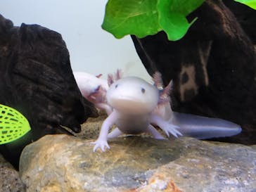 サンシャイン水族館に投稿された画像（2025/10/19）