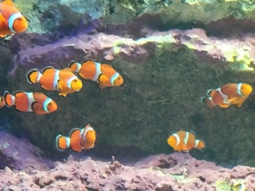 サンシャイン水族館に投稿された画像（2025/10/19）