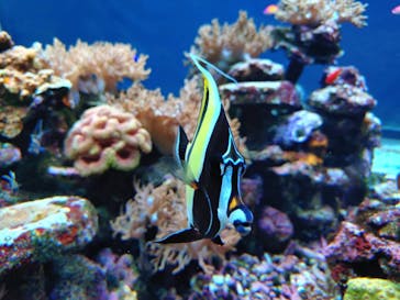 サンシャイン水族館に投稿された画像（2025/10/19）