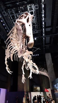 福井県立恐竜博物館に投稿された画像（2025/10/19）