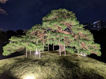 夜間特別開園 秋の夜長の小石川後楽園2025に投稿された画像（2025/10/19）