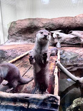 仙台うみの杜水族館に投稿された画像（2025/10/19）