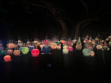 江の島シーキャンドルに投稿された画像（2025/10/19）