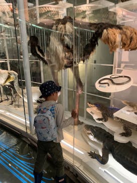 国立科学博物館に投稿された画像（2025/10/19）